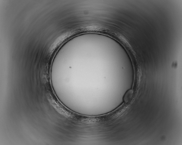 X0000115640930200911241707