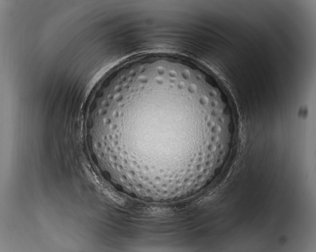 X0000115640933200911241707