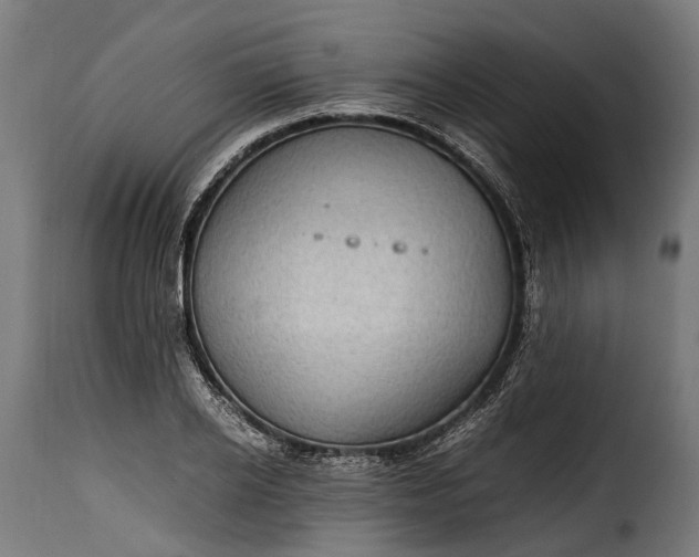 X0000115640934200911241707