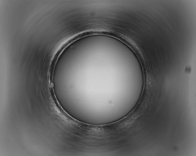 X0000115640935200911241707