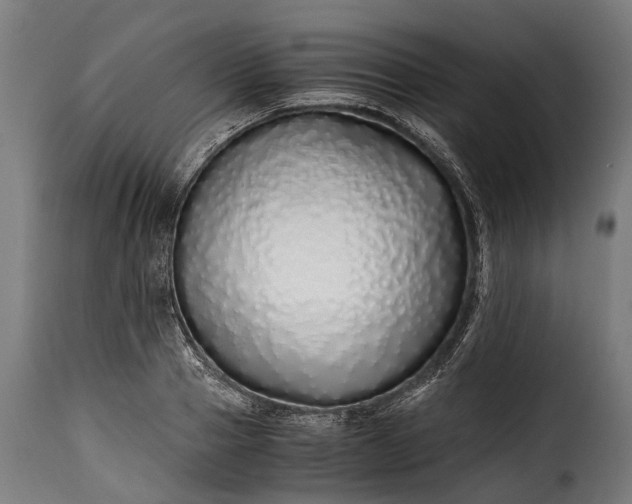 X0000115640937200911241707