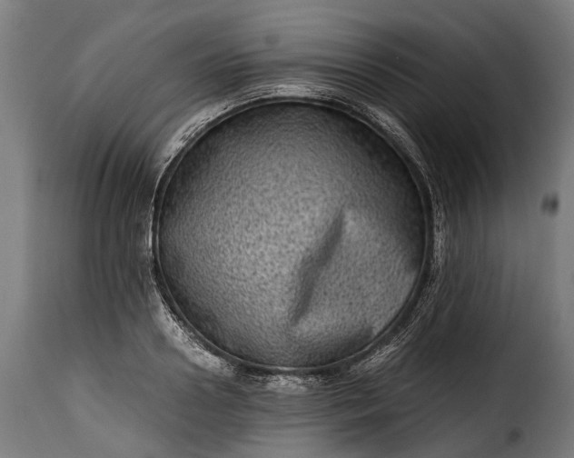 X0000115640938200911241707