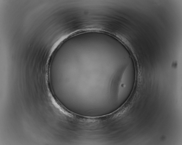 X0000115640941200911241707