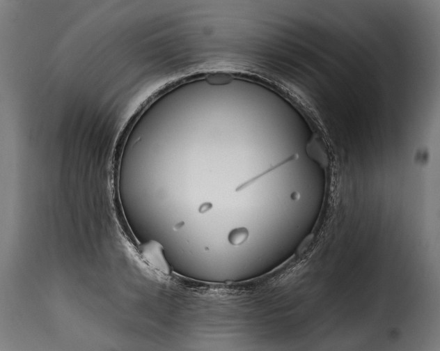 X0000115640942200911241707