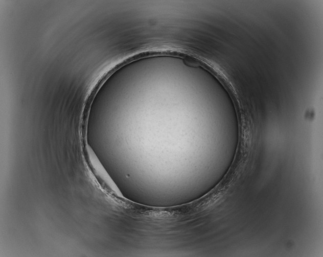 X0000115640943200911241707