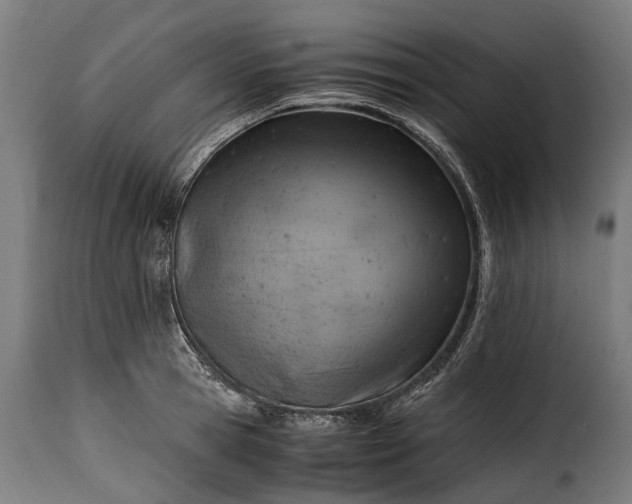 X0000115640945200911241707