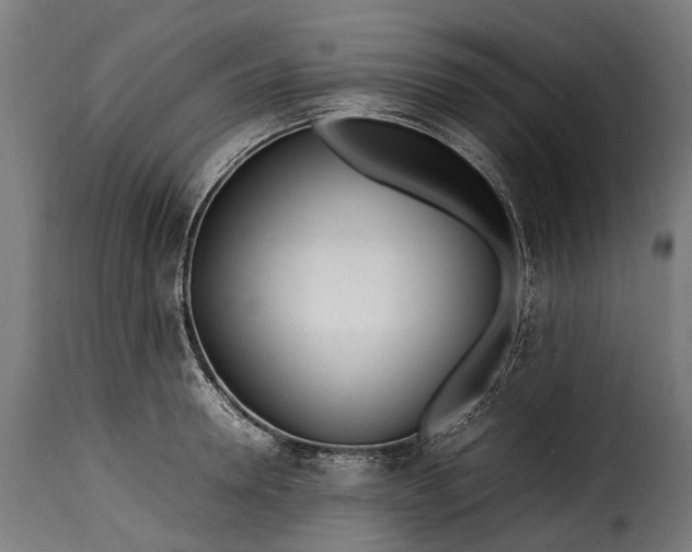 X0000115640946200911241707