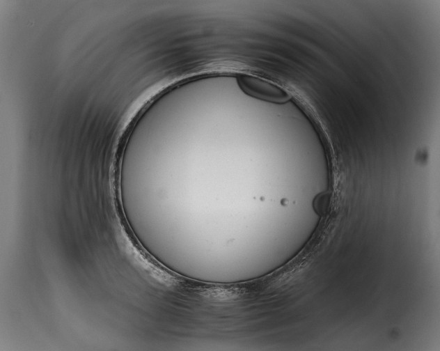 X0000115640947200911241707