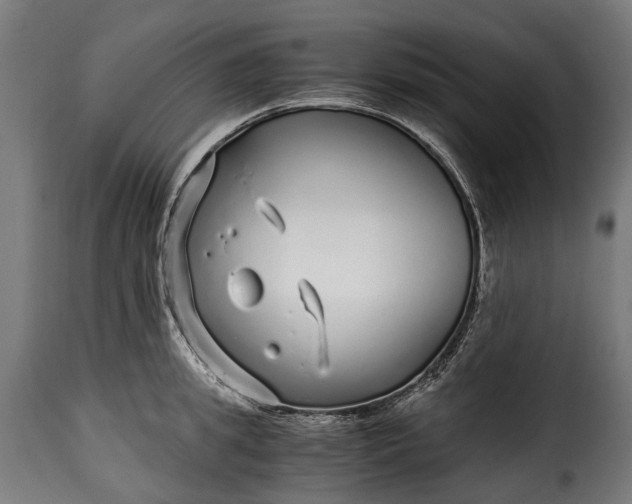 X0000115640949200911241708