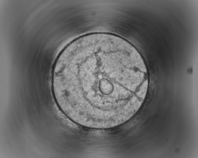 X0000115640950200911241708