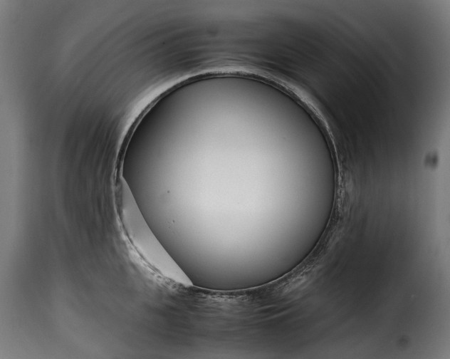 X0000115640951200911241708