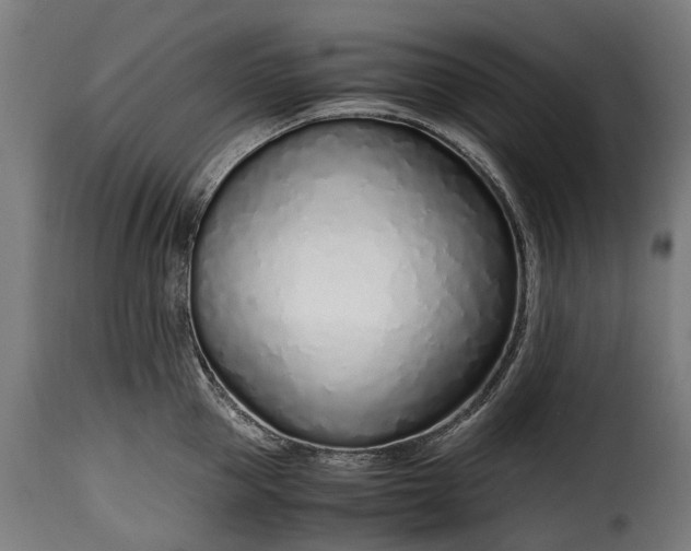 X0000115640953200911241708