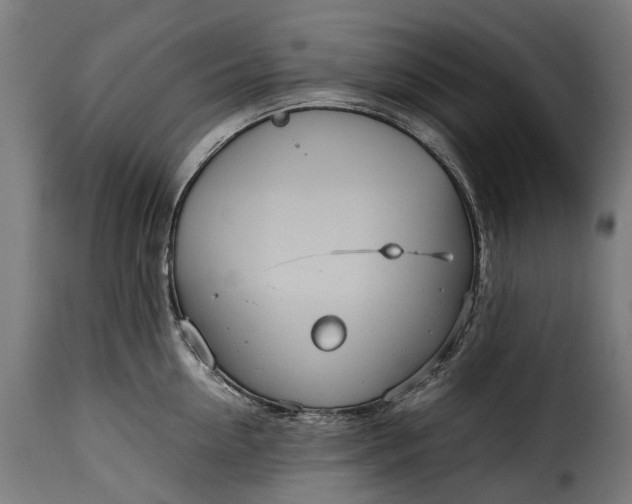 X0000115640954200911241708