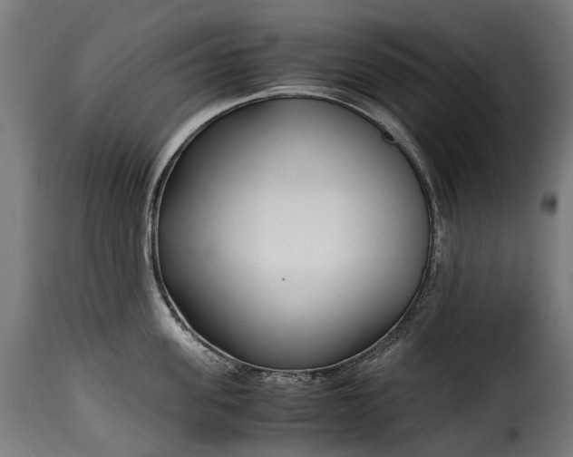 X0000115640955200911241708