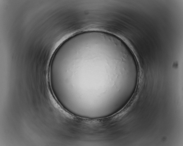 X0000115640957200911241708