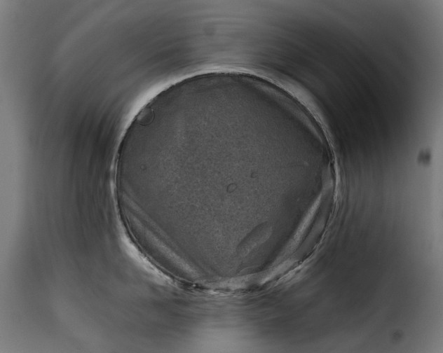 X0000115640958200911241708