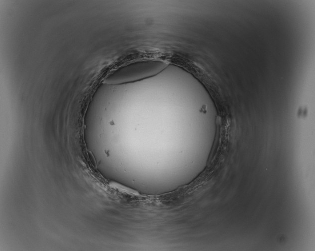 X0000115640961200911241707