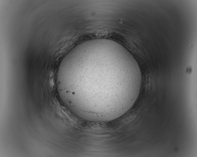 X0000115640962200911241707