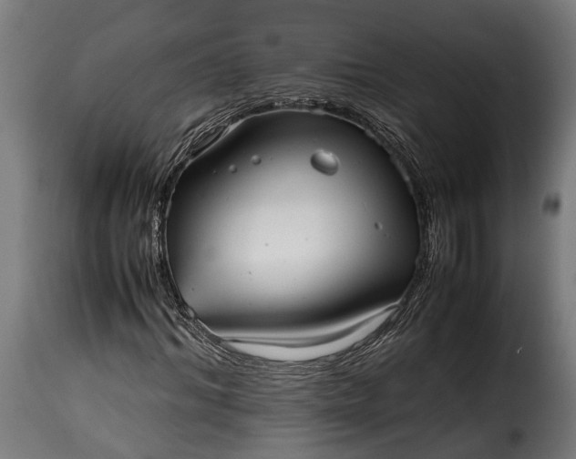 X0000115640964200911241707