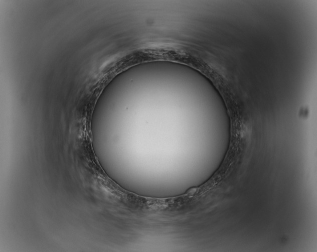 X0000115640965200911241707