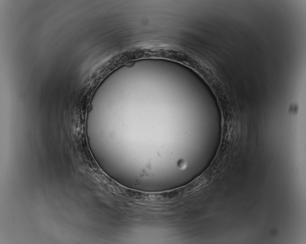 X0000115640966200911241707