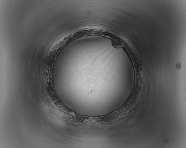 X0000115640967200911241707