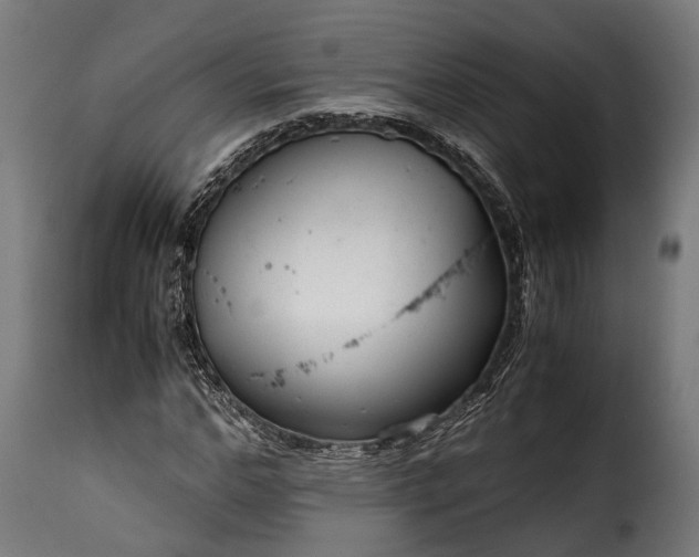 X0000115640968200911241707