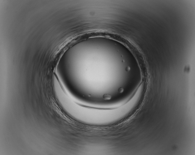 X0000115640969200911241707