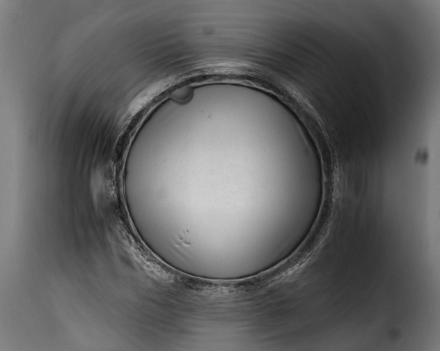 X0000115640970200911241707