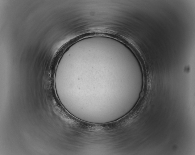 X0000115640971200911241707