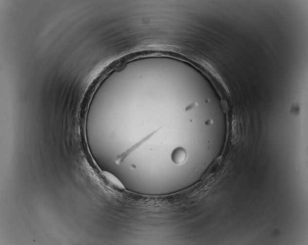 X0000115640972200911241707