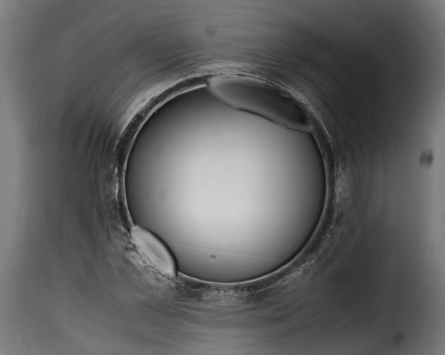 X0000115640973200911241706