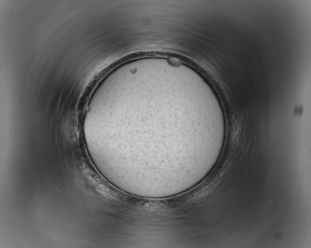 X0000115640974200911241706