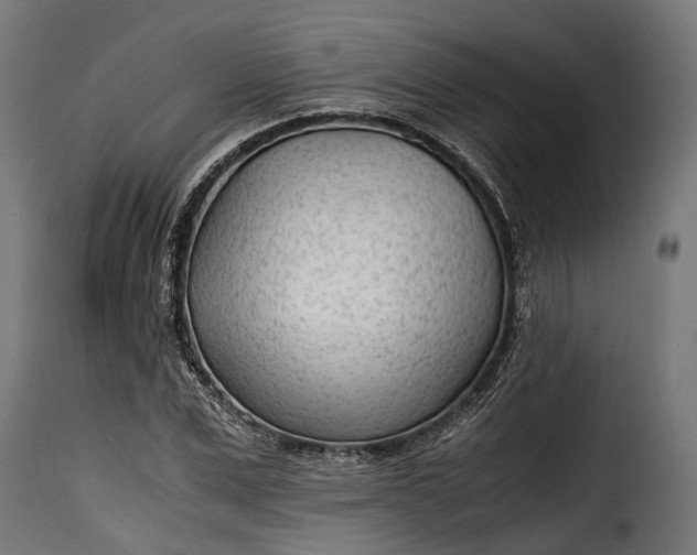 X0000115640975200911241706