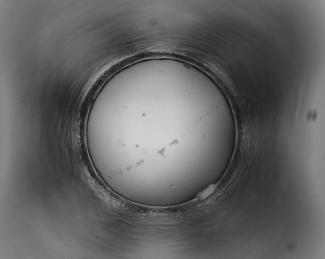 X0000115640976200911241706