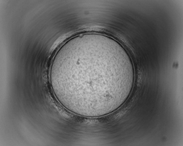 X0000115640978200911241706