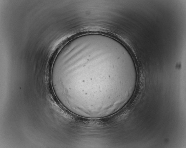 X0000115640979200911241706