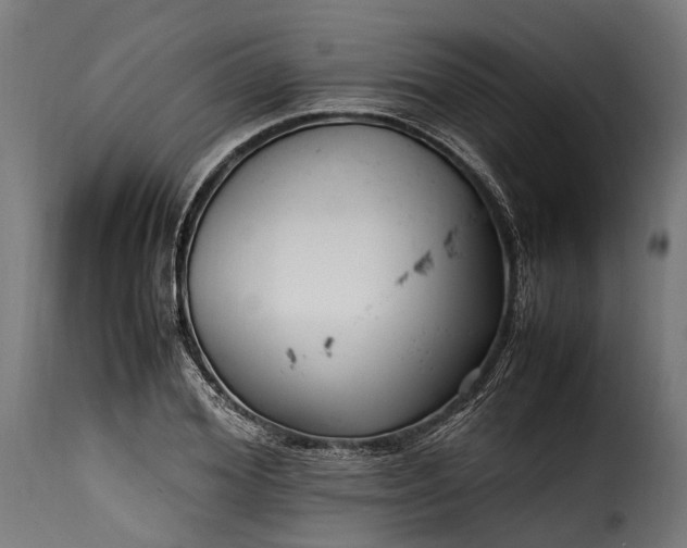 X0000115640980200911241706