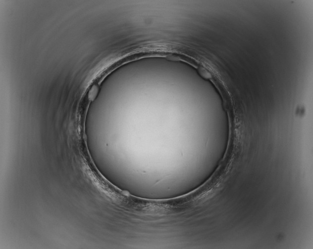 X0000115640981200911241706