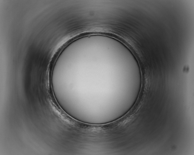 X0000115640982200911241706