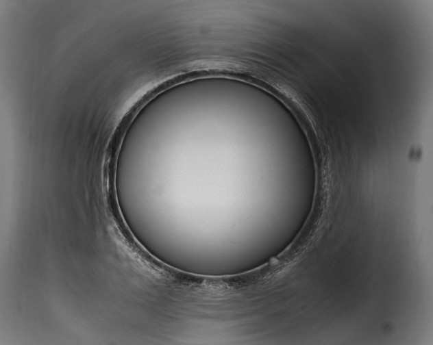 X0000115640983200911241706