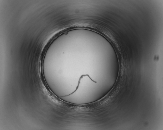 X0000115640984200911241706