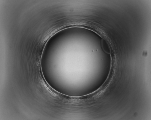 X0000115640985200911241706