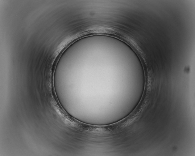 X0000115640986200911241706