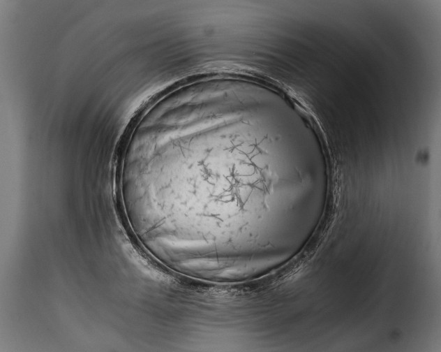 X0000115640987200911241706