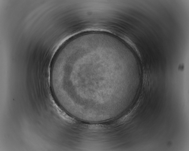 X0000115640988200911241706