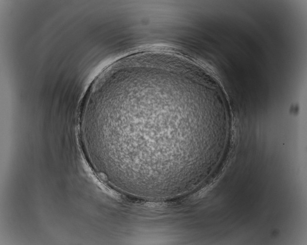 X0000115640989200911241706