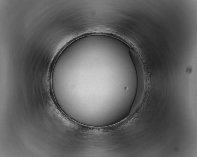 X0000115640990200911241706