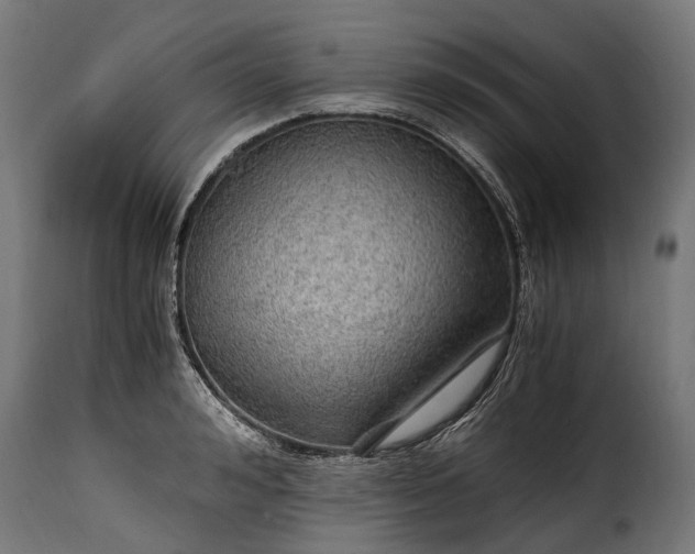 X0000115640992200911241706