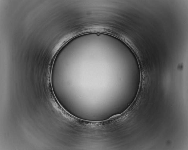 X0000115640994200911241706